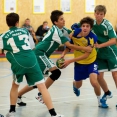 SŽ: Handballeshop Cup 2012