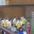 SD: Prague Handball Cup 2011