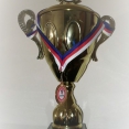 MŽ: Gorivo Cup 2019 (19. - 20. 1. 2019 - Nové Veselí - 3. místo)