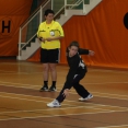 MŽ: Prague Handball Cup 2014