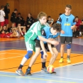 SŽ: Prague Handball Cup 2014