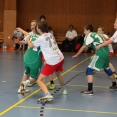 SŽ: Prague Handball Cup 2014