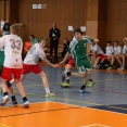 SŽ: Prague Handball Cup 2014