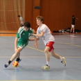 SŽ: Prague Handball Cup 2014