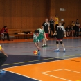 SŽ: Prague Handball Cup 2014