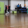 SŽ: Prague Handball Cup 2014