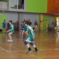 SŽ: Prague Handball Cup 2014